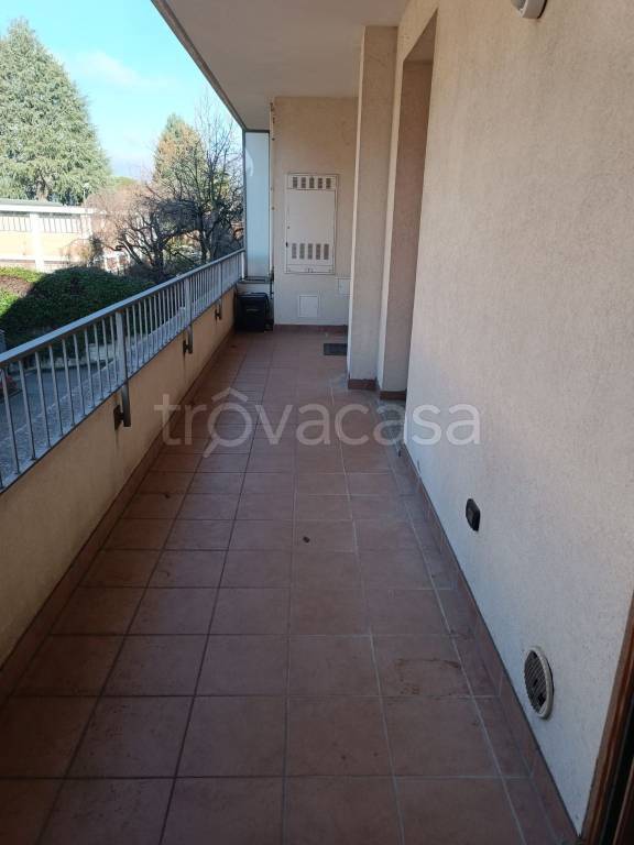 immagine annuncio 9 di 14