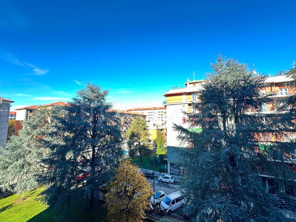 immagine annuncio 8 di 14