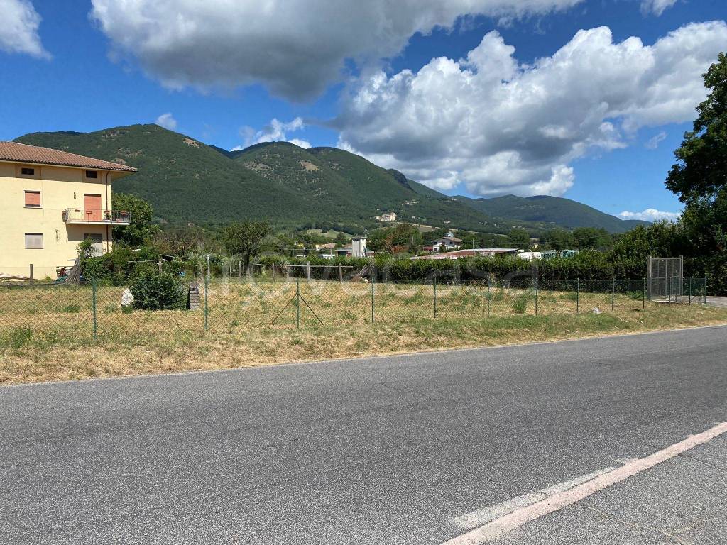 immagine annuncio 5 di 6