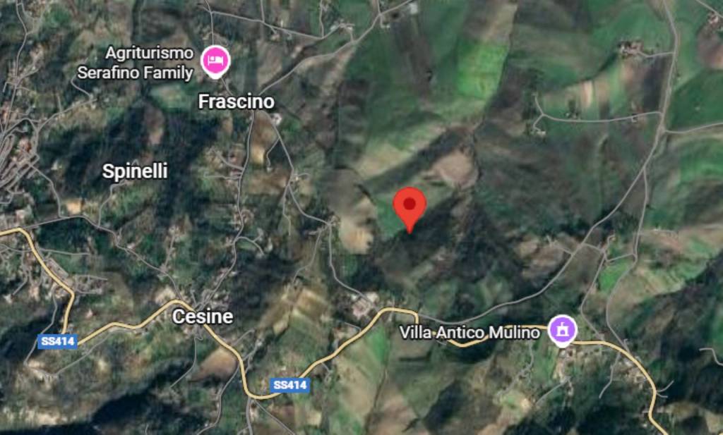 immagine annuncio 6 di 11