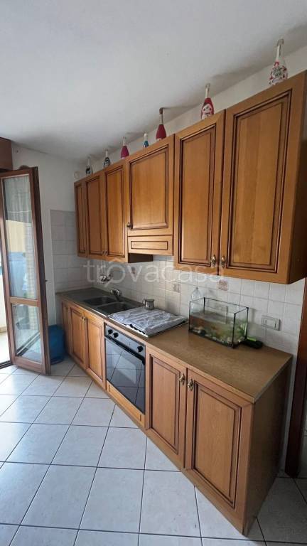 immagine annuncio 4 di 7