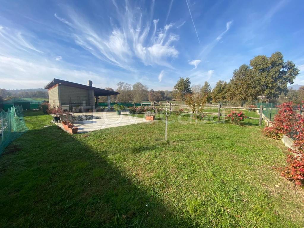 immagine annuncio 5 di 7