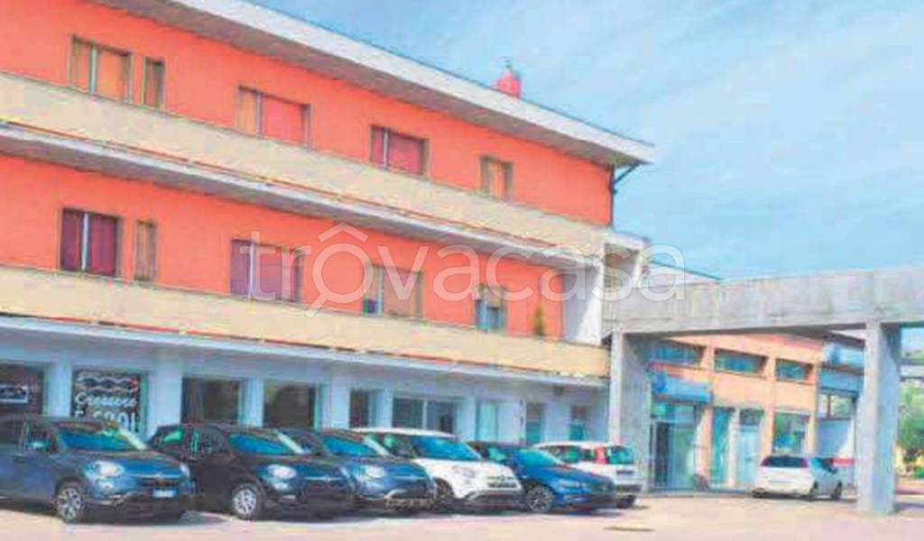 immagine annuncio 1 di 11