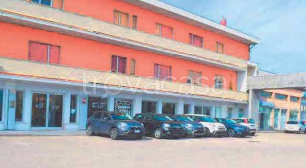 immagine annuncio 6 di 11