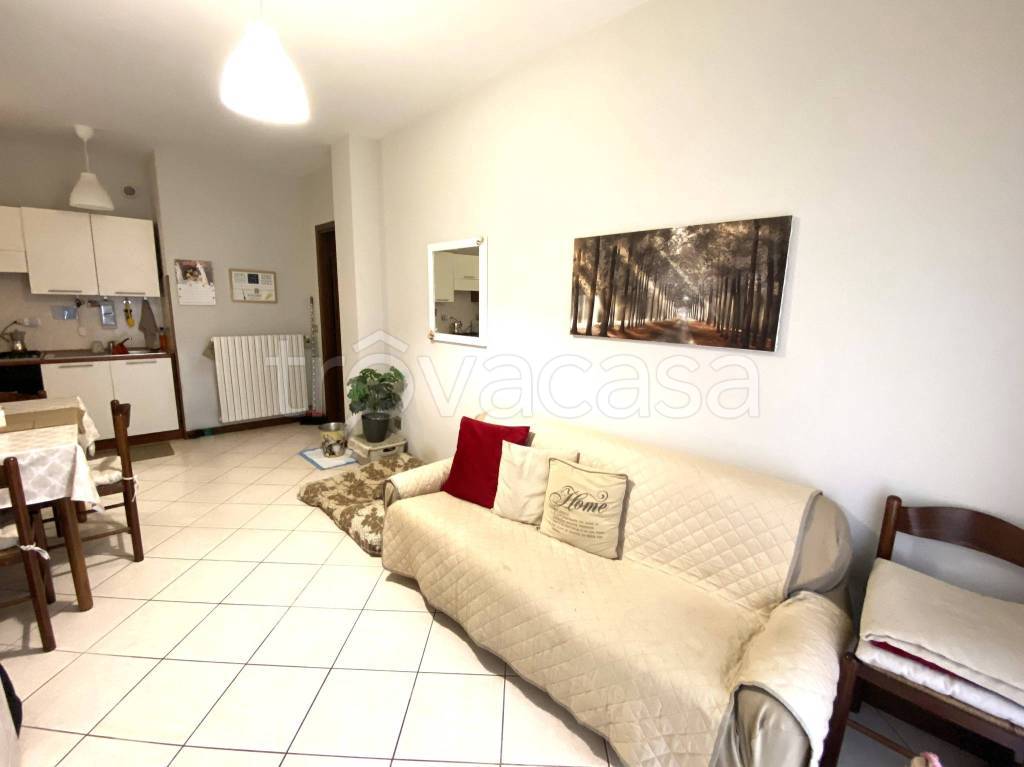 immagine annuncio 1 di 12