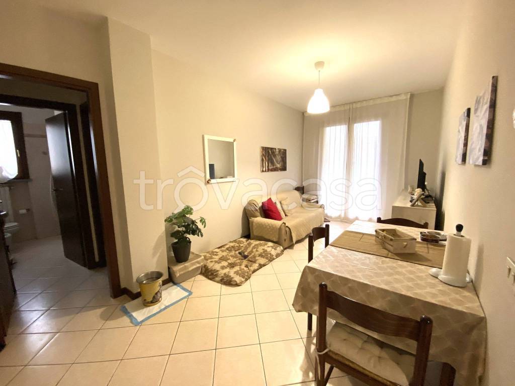 immagine annuncio 2 di 12