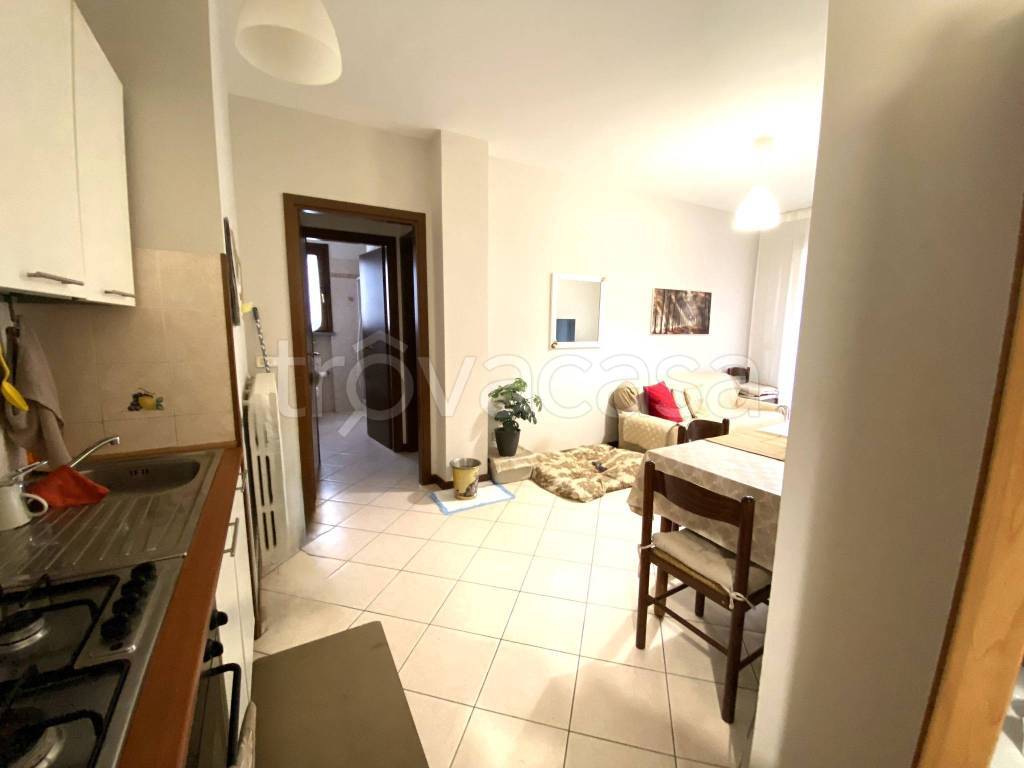 immagine annuncio 3 di 12