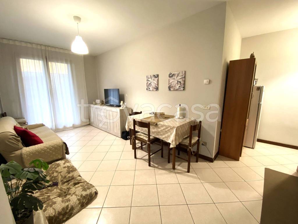 immagine annuncio 5 di 12