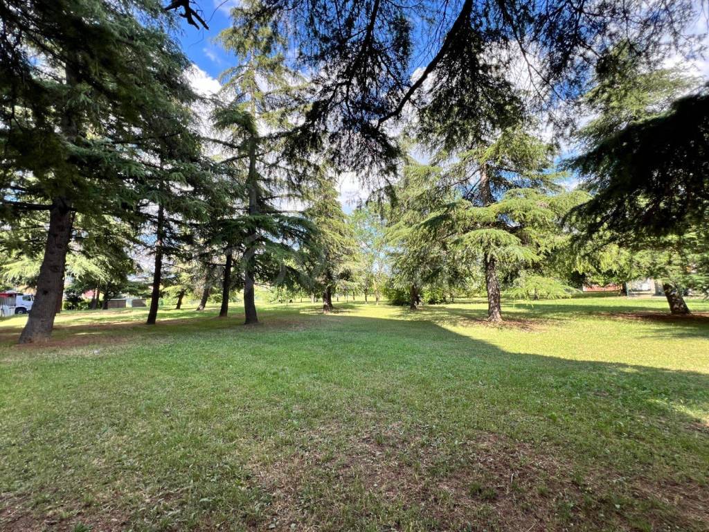 immagine annuncio 11 di 12