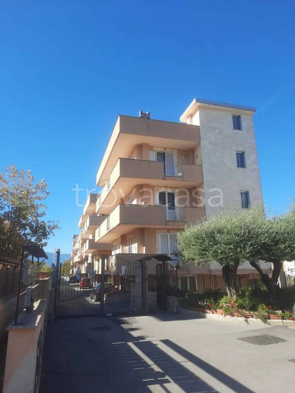 immagine annuncio 4 di 9