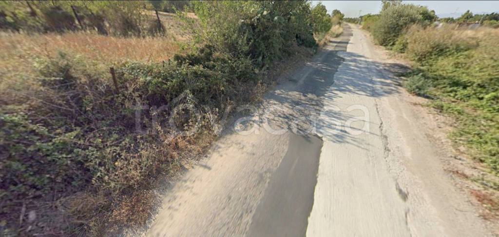 immagine annuncio 9 di 14