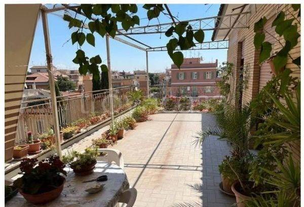 immagine annuncio 9 di 12