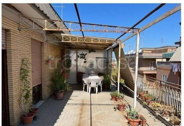 immagine annuncio 10 di 12