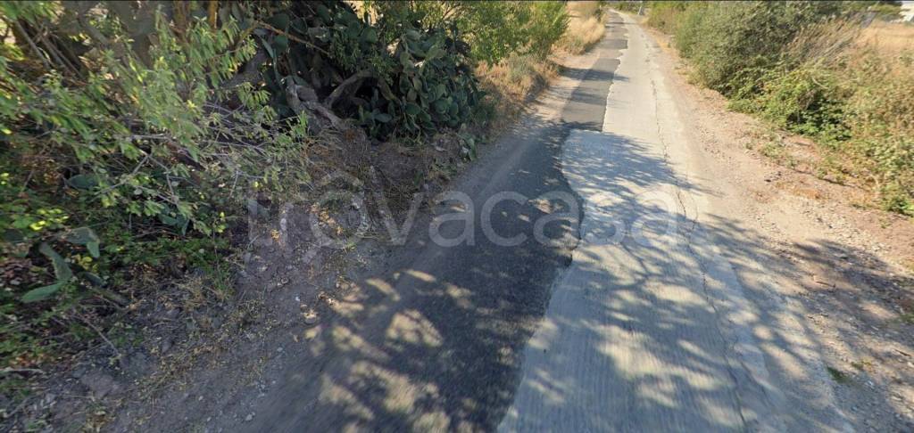 immagine annuncio 12 di 14