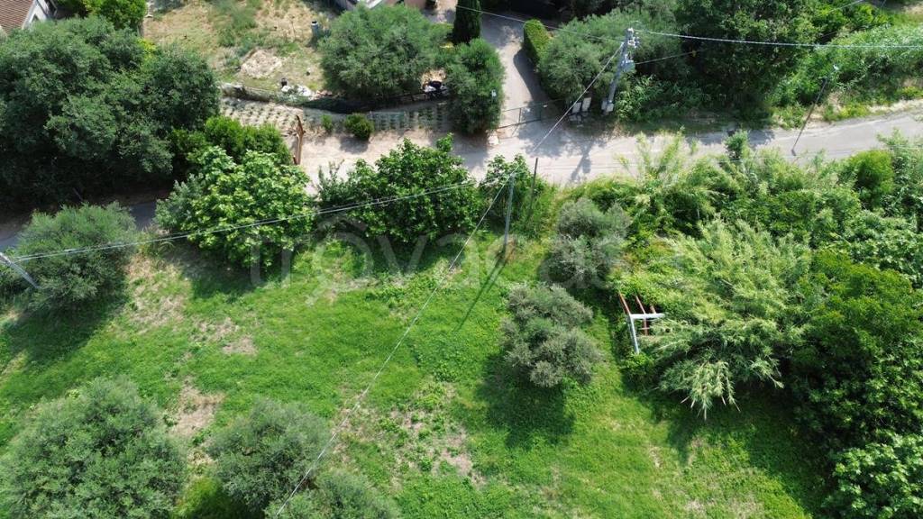 immagine annuncio 4 di 14