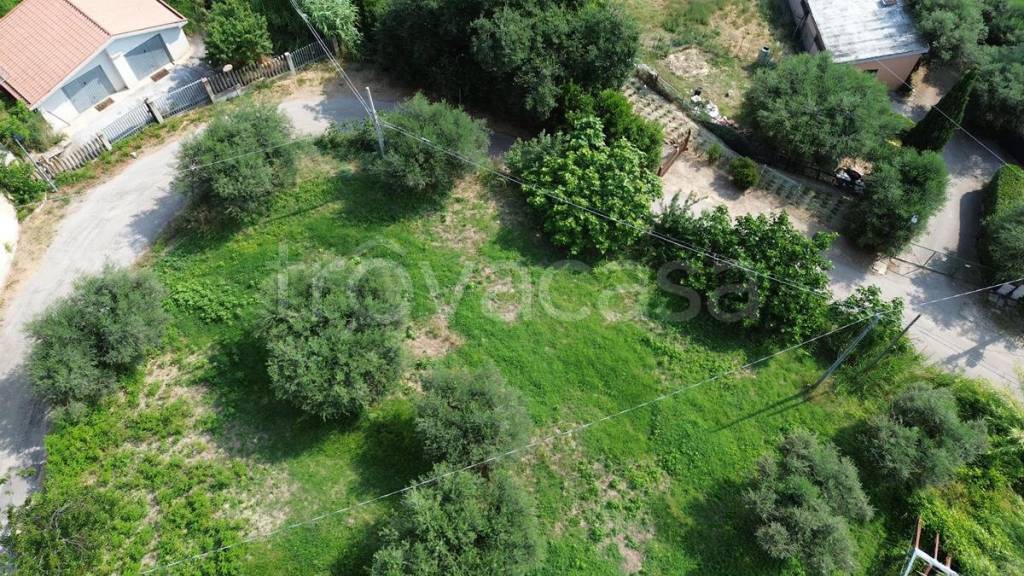 immagine annuncio 5 di 14