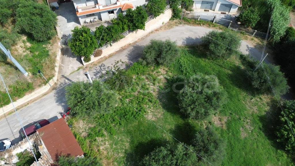 immagine annuncio 7 di 14