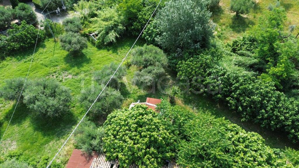 immagine annuncio 11 di 14