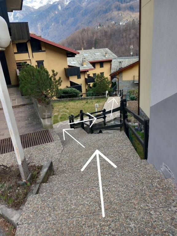 immagine annuncio 2 di 13