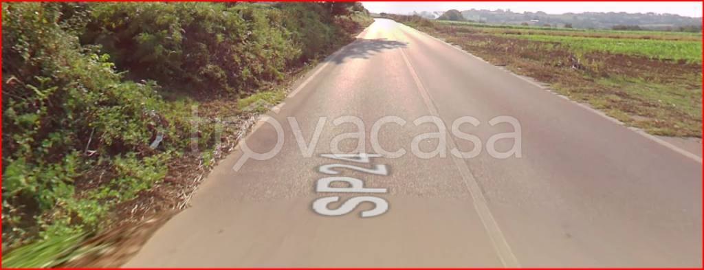 immagine annuncio 3 di 11