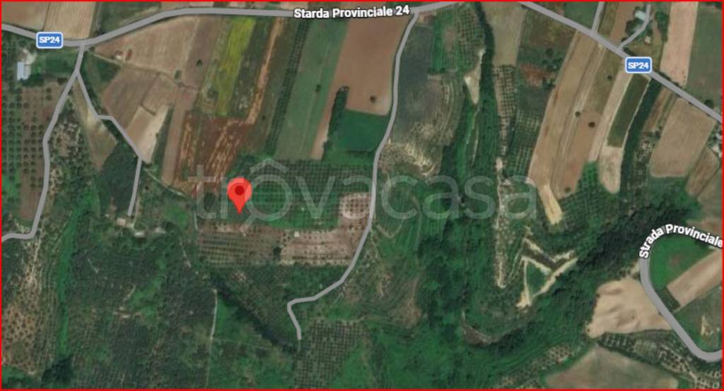 immagine annuncio 10 di 11