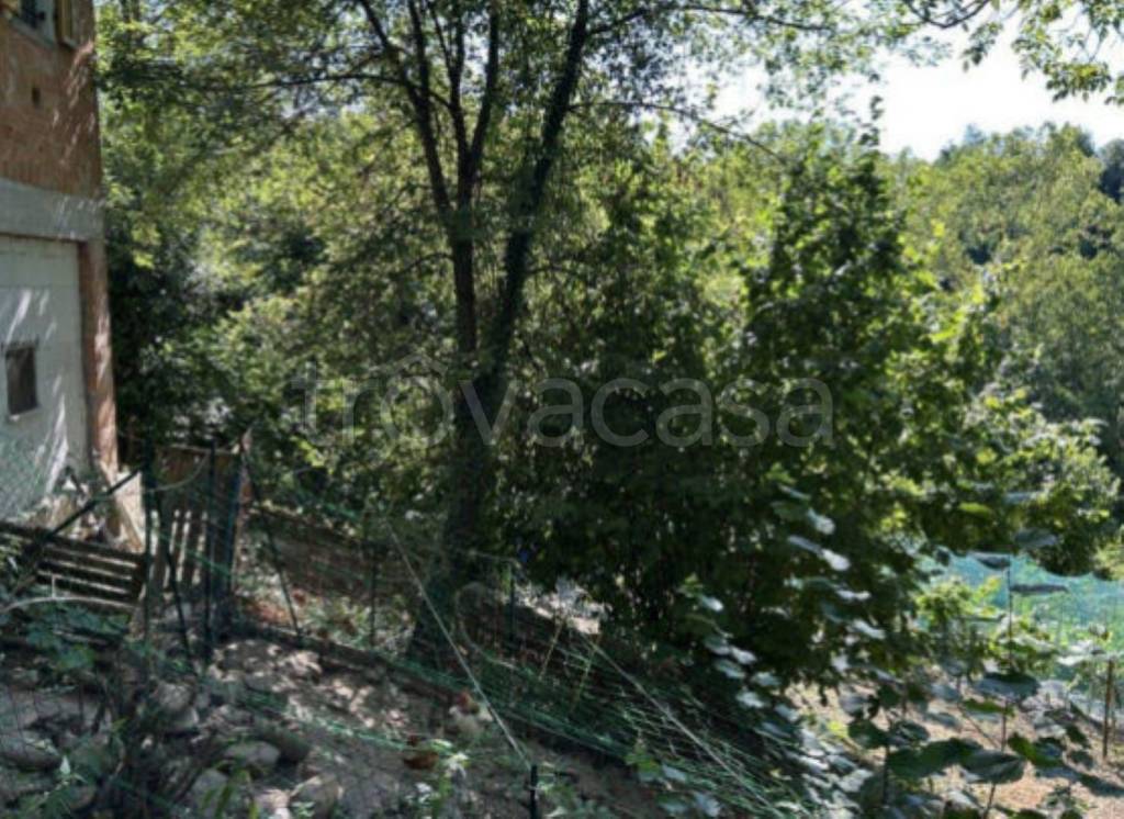 immagine annuncio 7 di 13