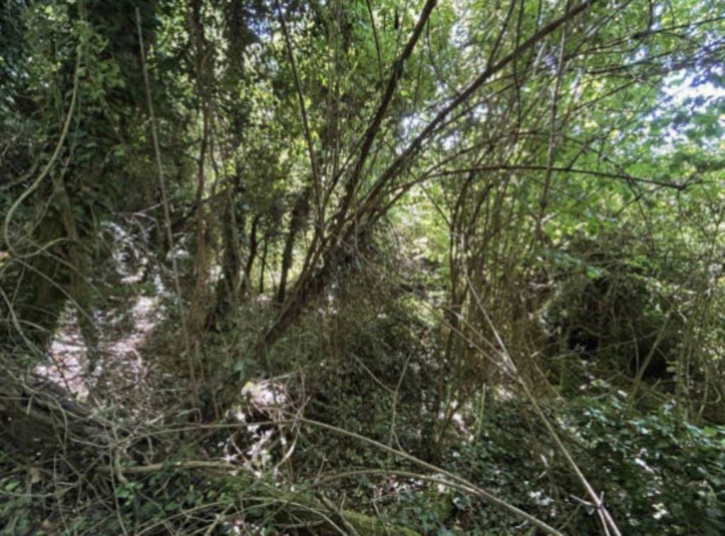 immagine annuncio 8 di 13