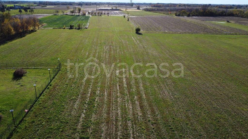 immagine annuncio 2 di 8