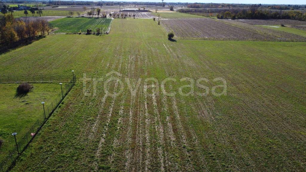 immagine annuncio 3 di 8