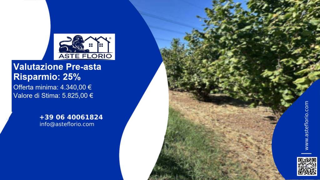 immagine annuncio 1 di 14