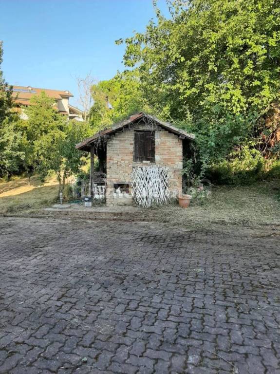 immagine annuncio 3 di 12