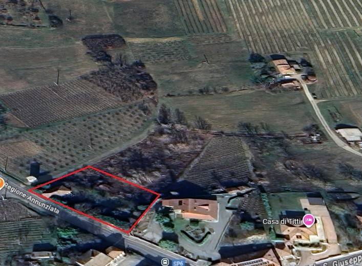 immagine annuncio 11 di 12