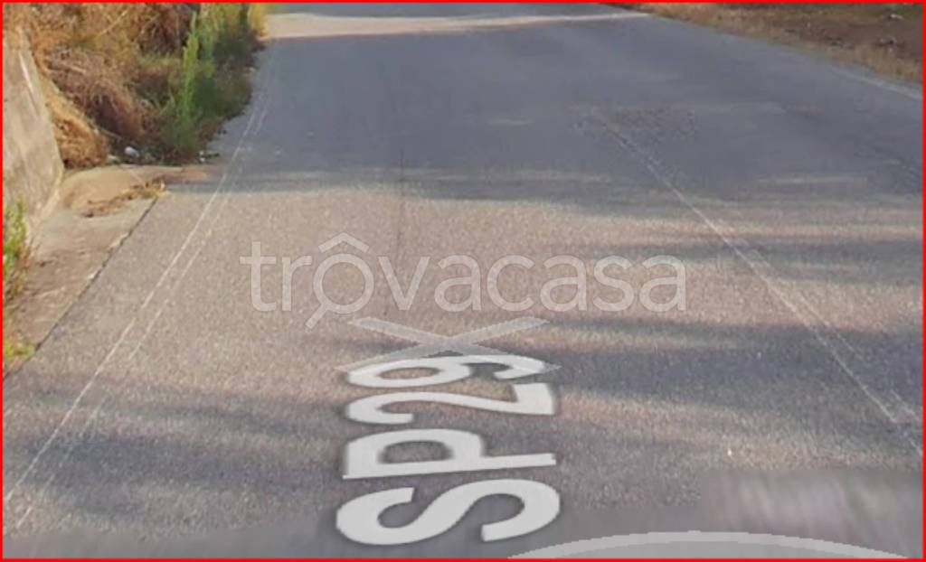 immagine annuncio 3 di 12