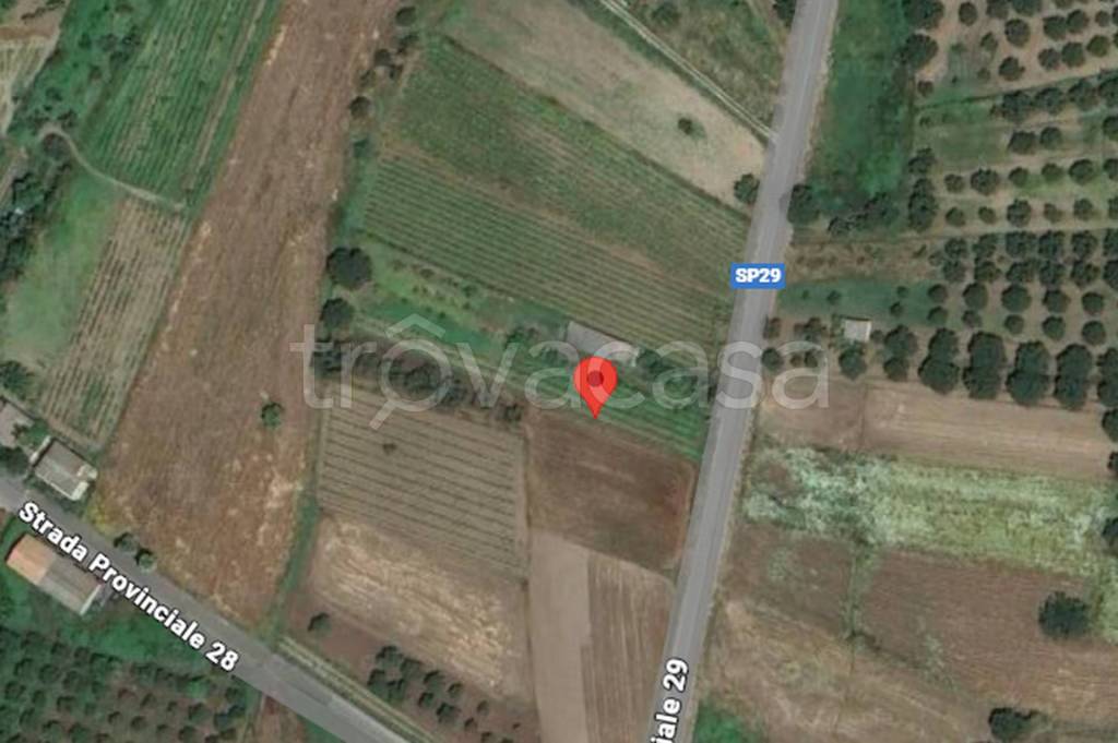 immagine annuncio 7 di 11