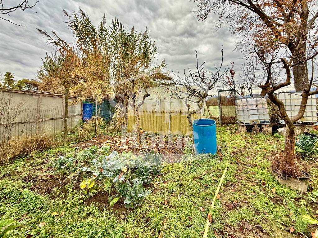 immagine annuncio 6 di 15