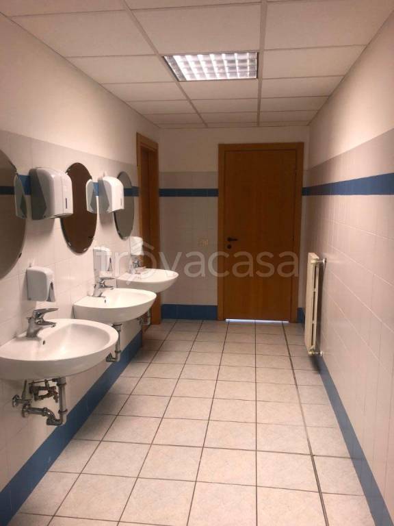 immagine annuncio 6 di 11