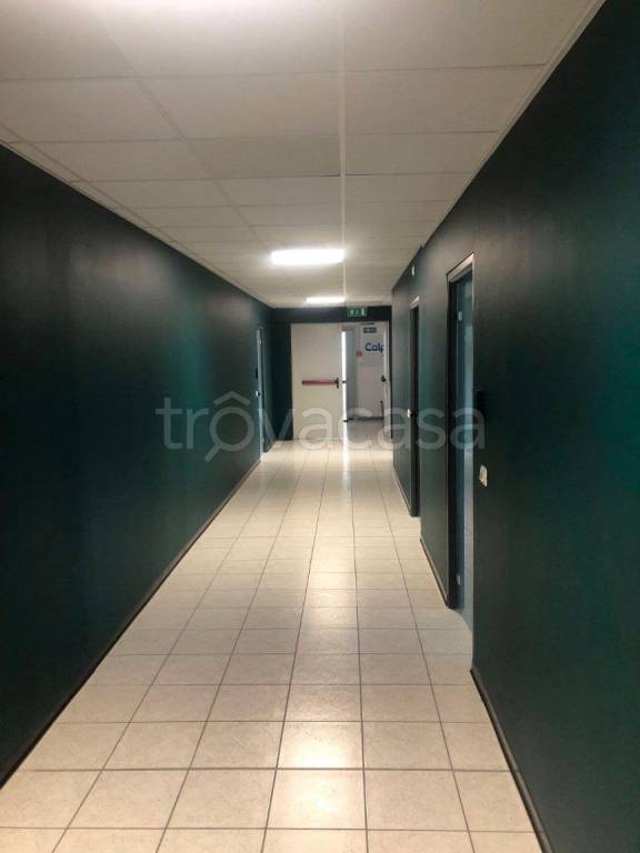 immagine annuncio 3 di 11