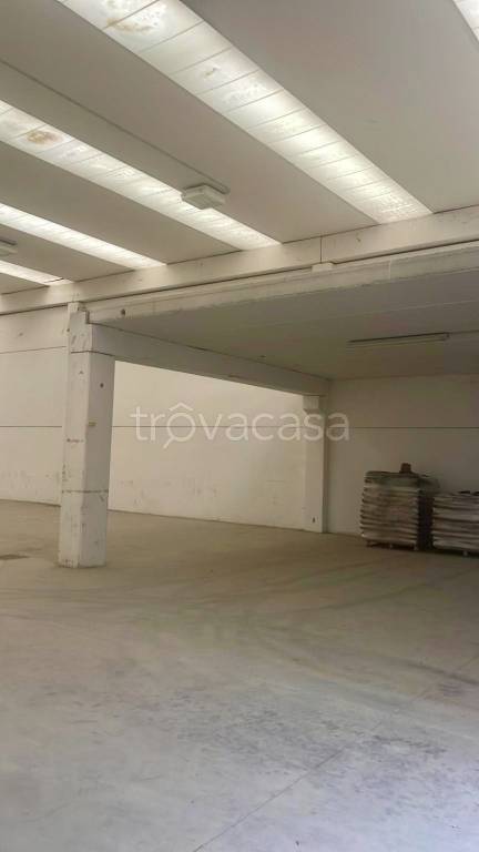 immagine annuncio 2 di 6