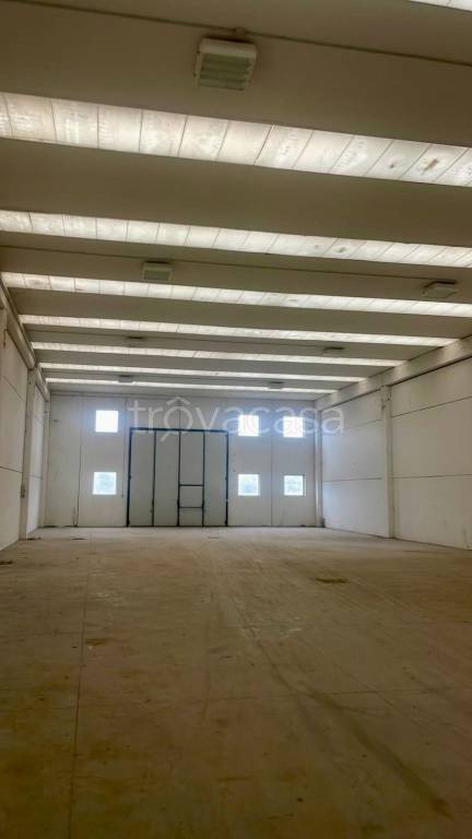 immagine annuncio 3 di 6