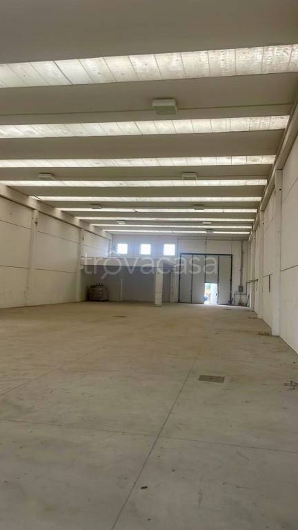 immagine annuncio 4 di 6