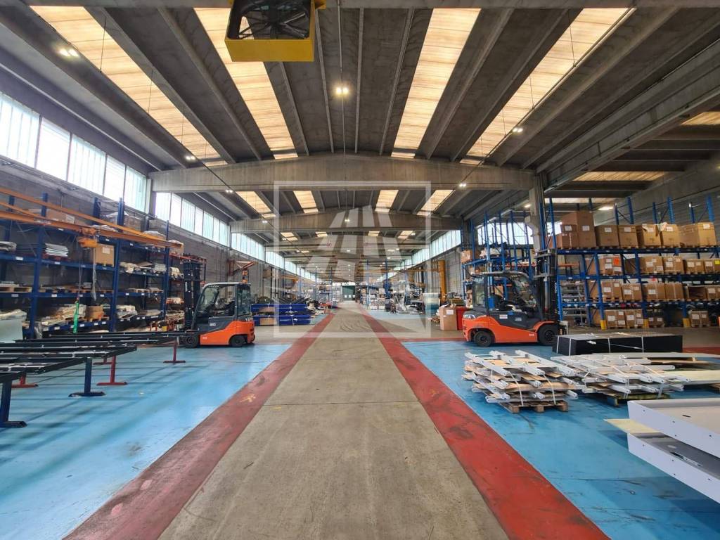 immagine annuncio 10 di 15