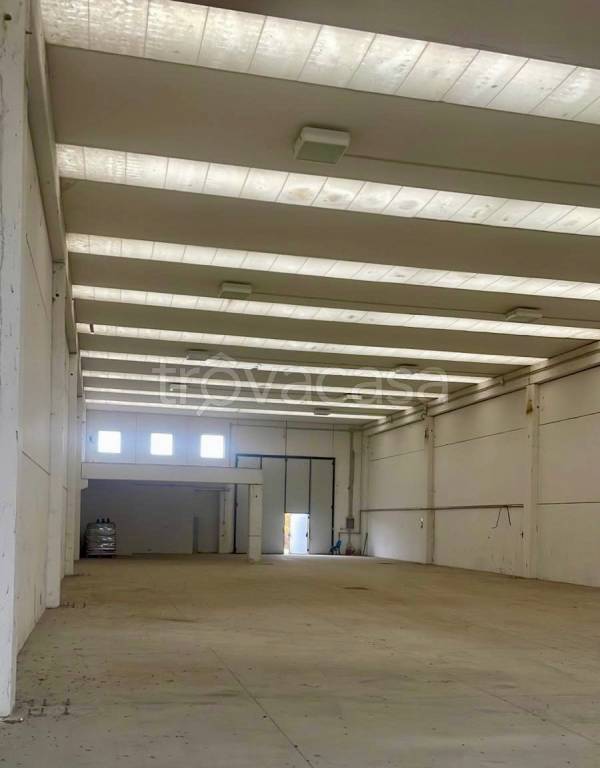 immagine annuncio 5 di 6