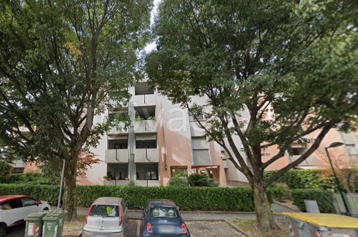 immagine annuncio 4 di 13