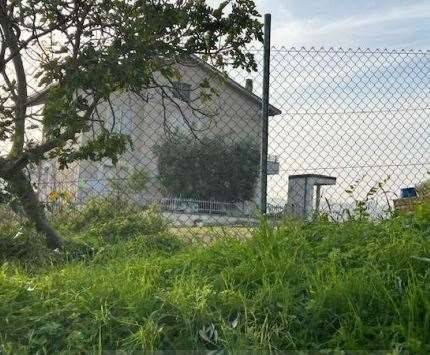 immagine annuncio 1 di 14