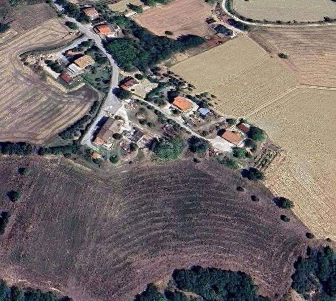 immagine annuncio 6 di 14