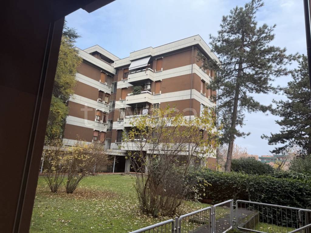 immagine annuncio 9 di 12