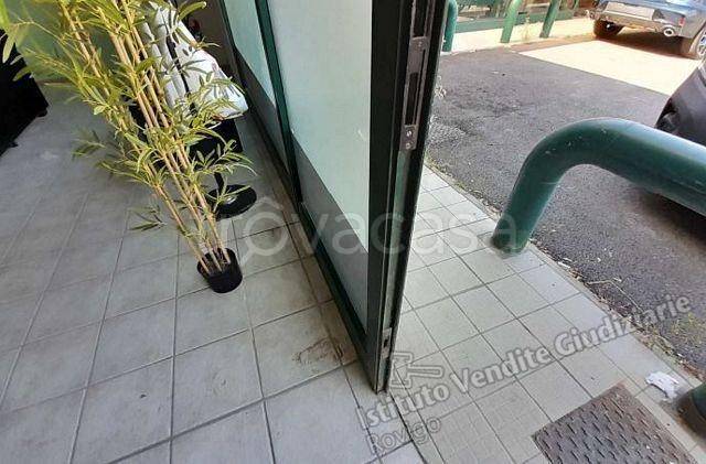 immagine annuncio 9 di 12