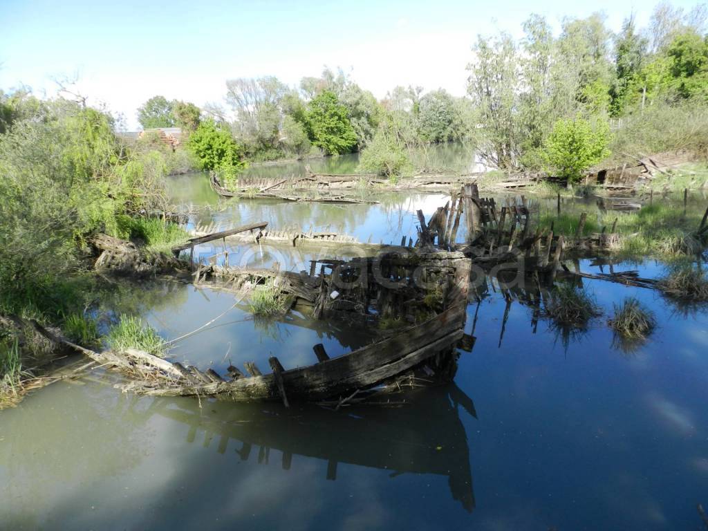 immagine annuncio 4 di 11