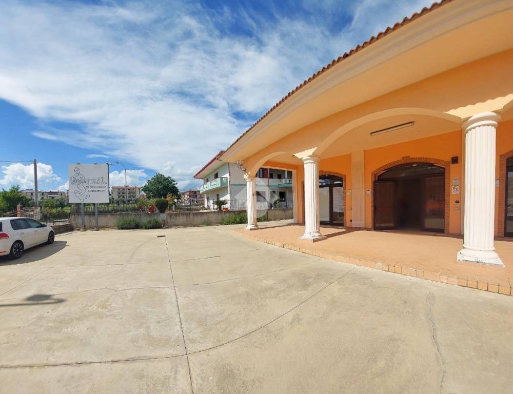 immagine annuncio 1 di 14