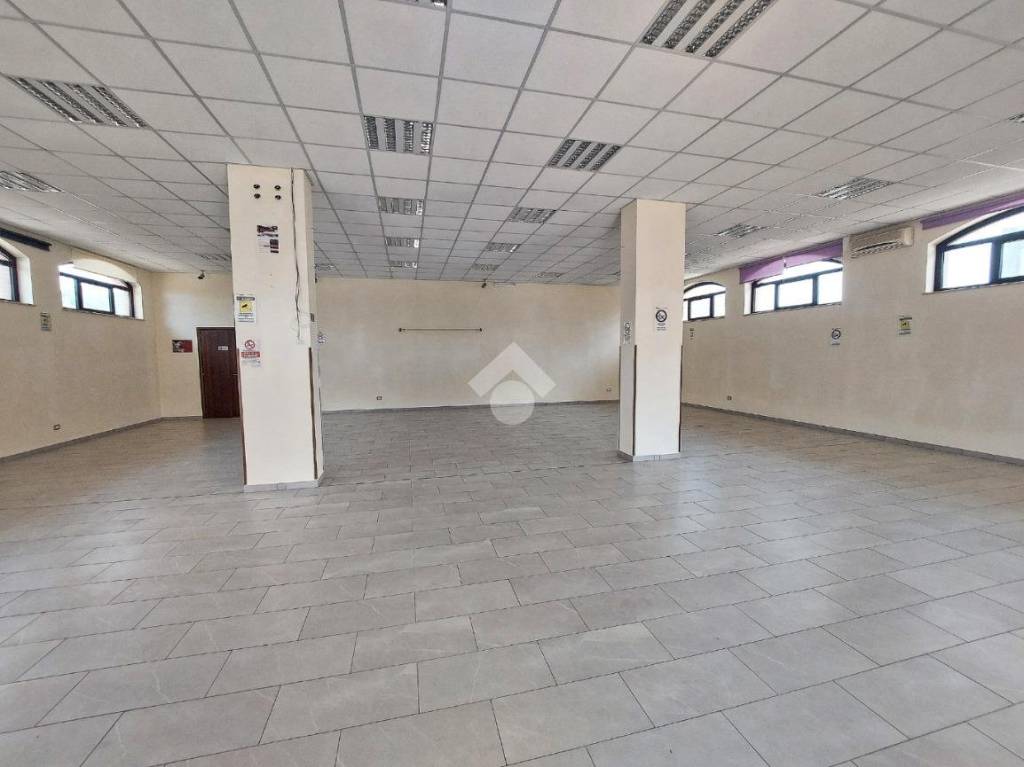 immagine annuncio 5 di 14